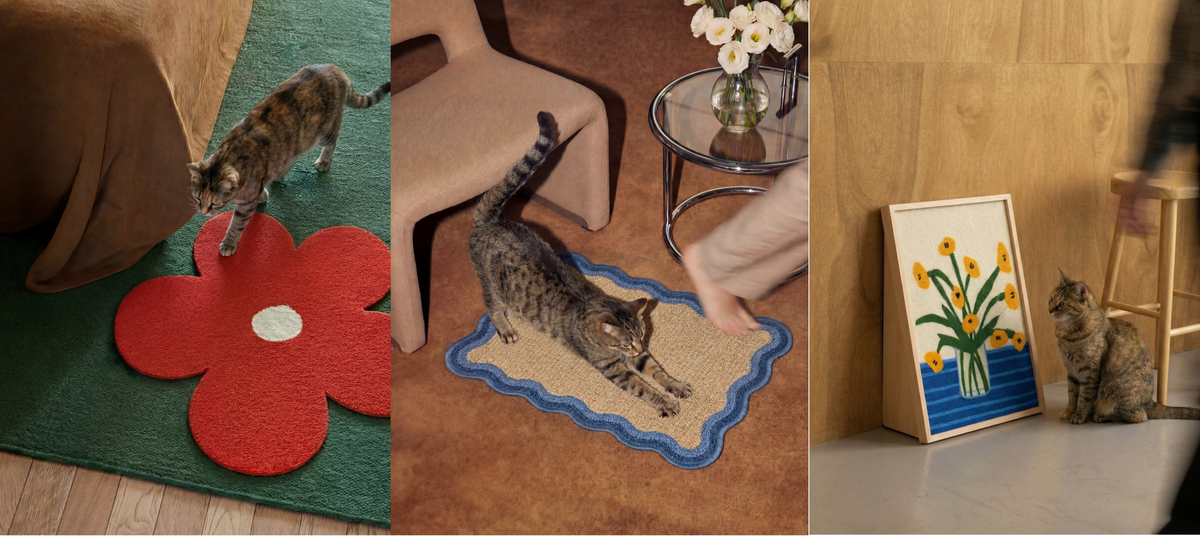 Cat Scratching Rug vs. Cat Lounge Rug: Which One Does Your Cat Actually Need?