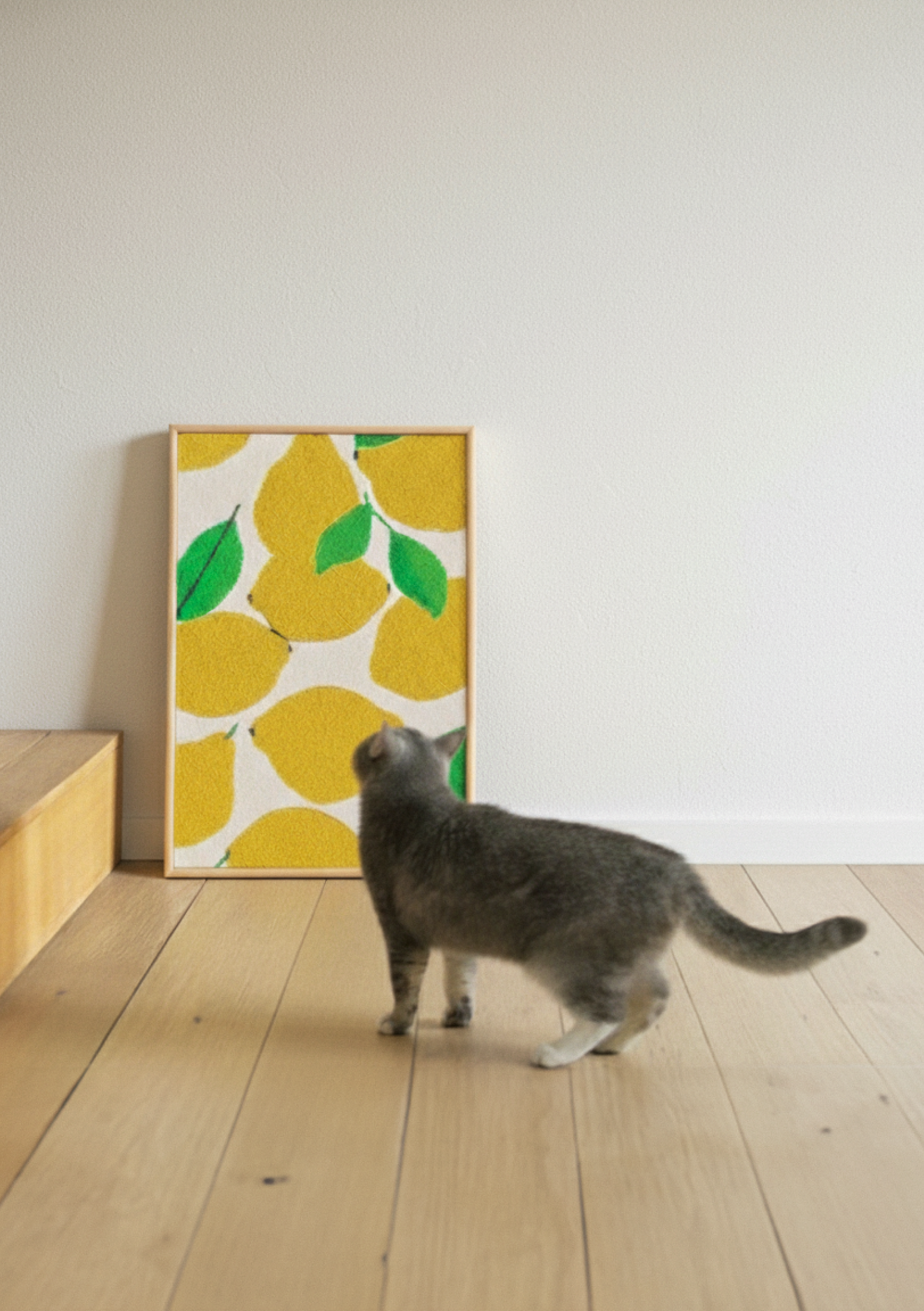 HADDEN Cat Scratching Board