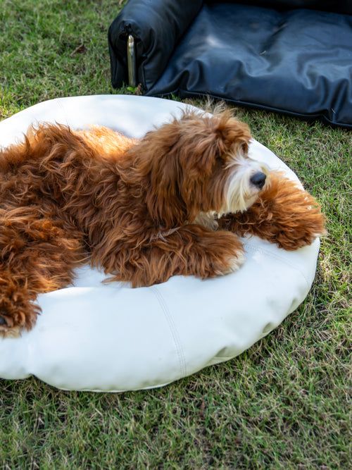 HÄDDEN NYC Cloud White Donut Pet Bed – Luxury Cat & Small Dog Lounge