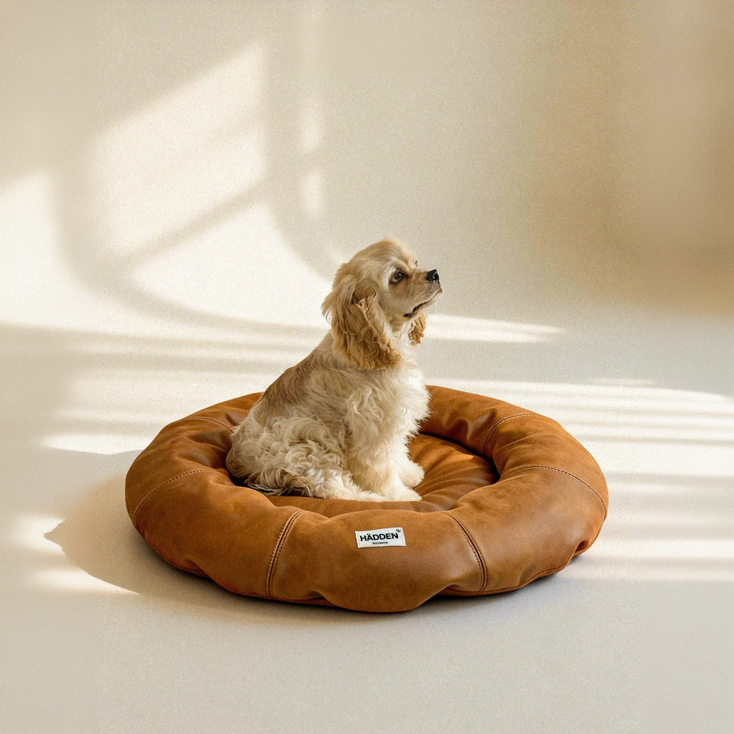 HÄDDEN NYC Donut Pet Bed – Premium Cat & Dog Lounge