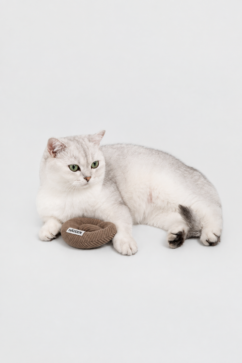 HÄDDEN Cat Toy Bundle Box – Pre-Order