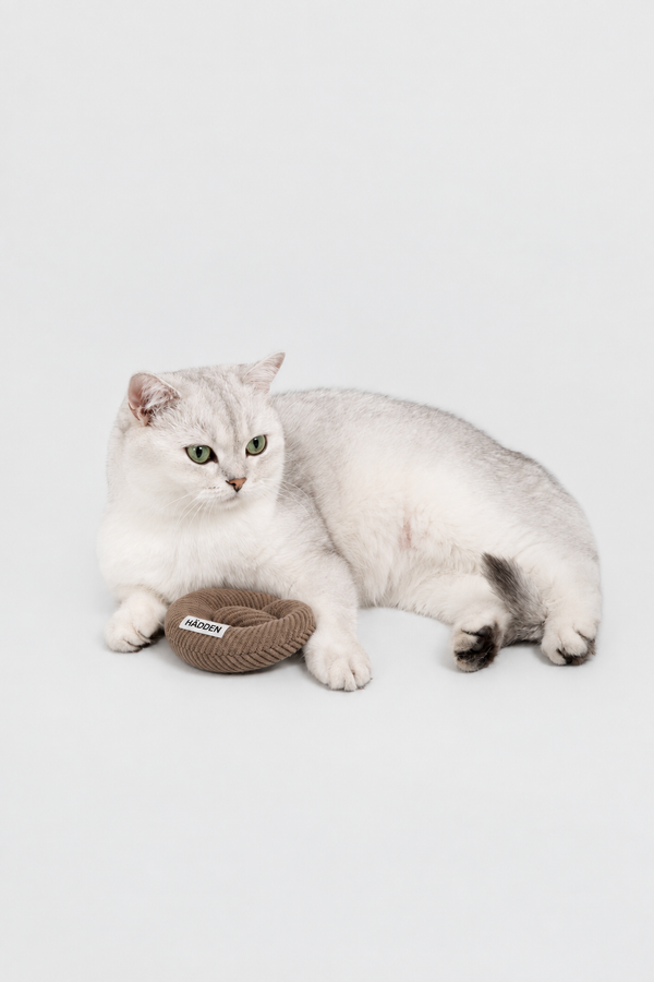 HÄDDEN Cat Toy Bundle Box – Pre-Order