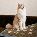 HÄDDEN Cat Rug | Mosaic Pre-Order