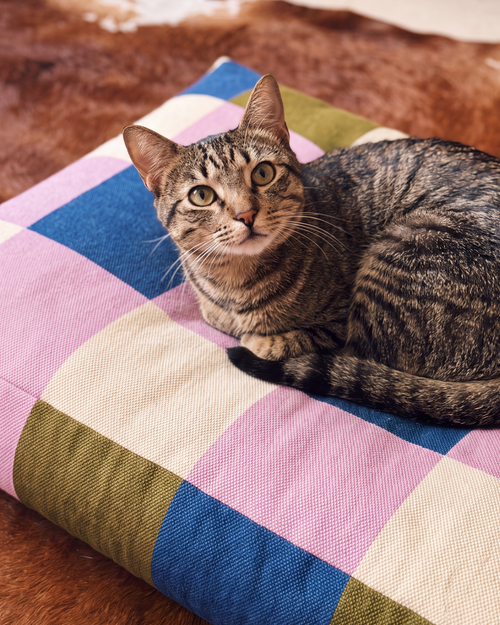 HÄDDEN Cat Bed | Loom — Pre-Order