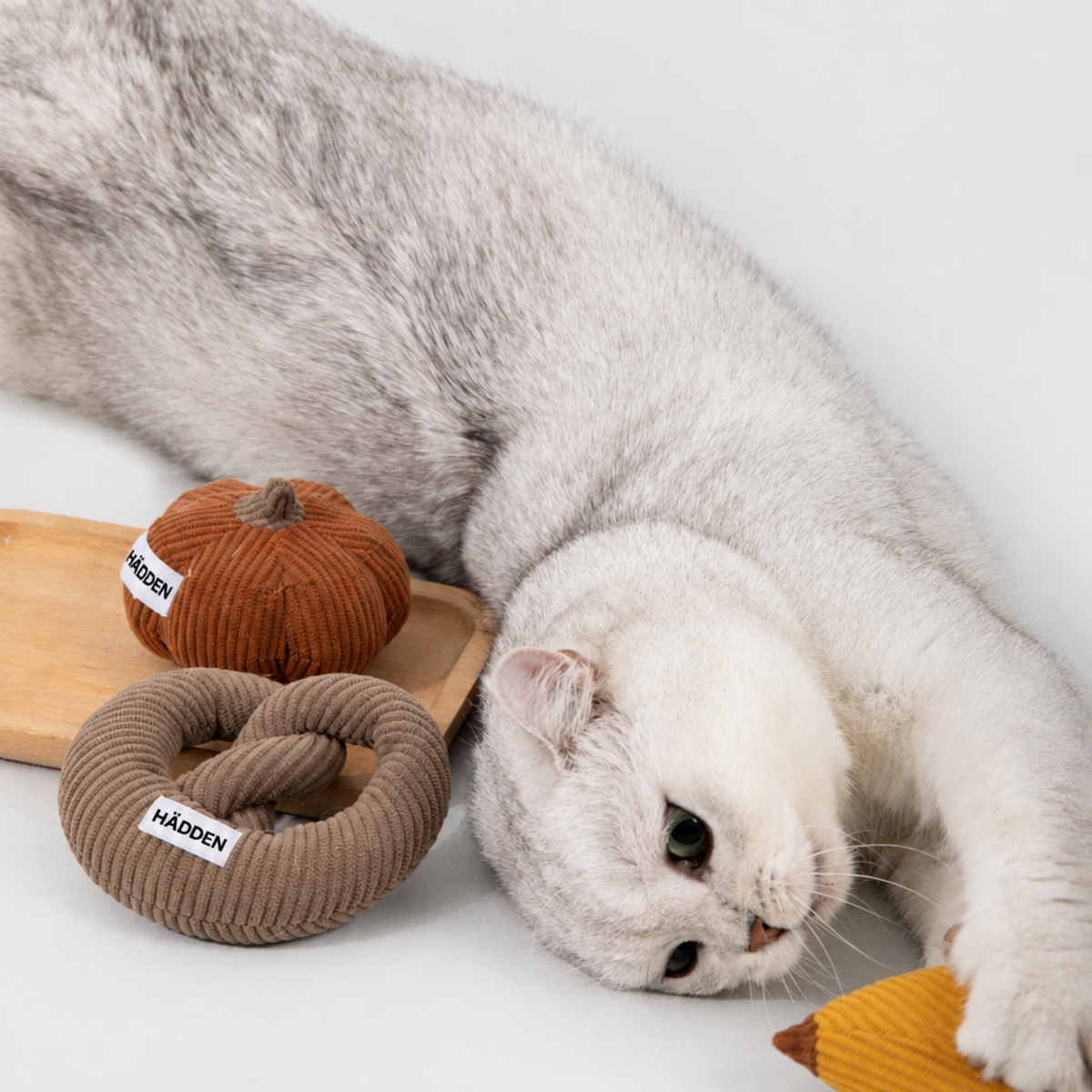 HÄDDEN Cat Toy Bundle Box – Pre-Order