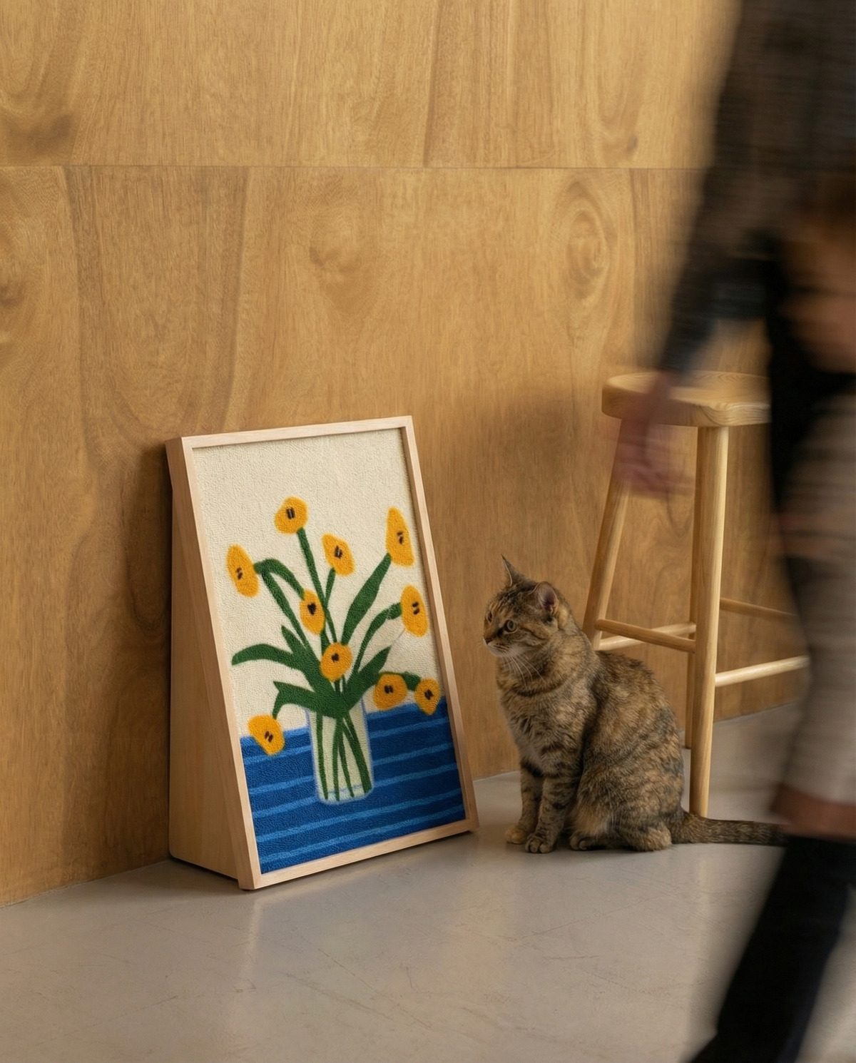 The Cat Scratcher Collection