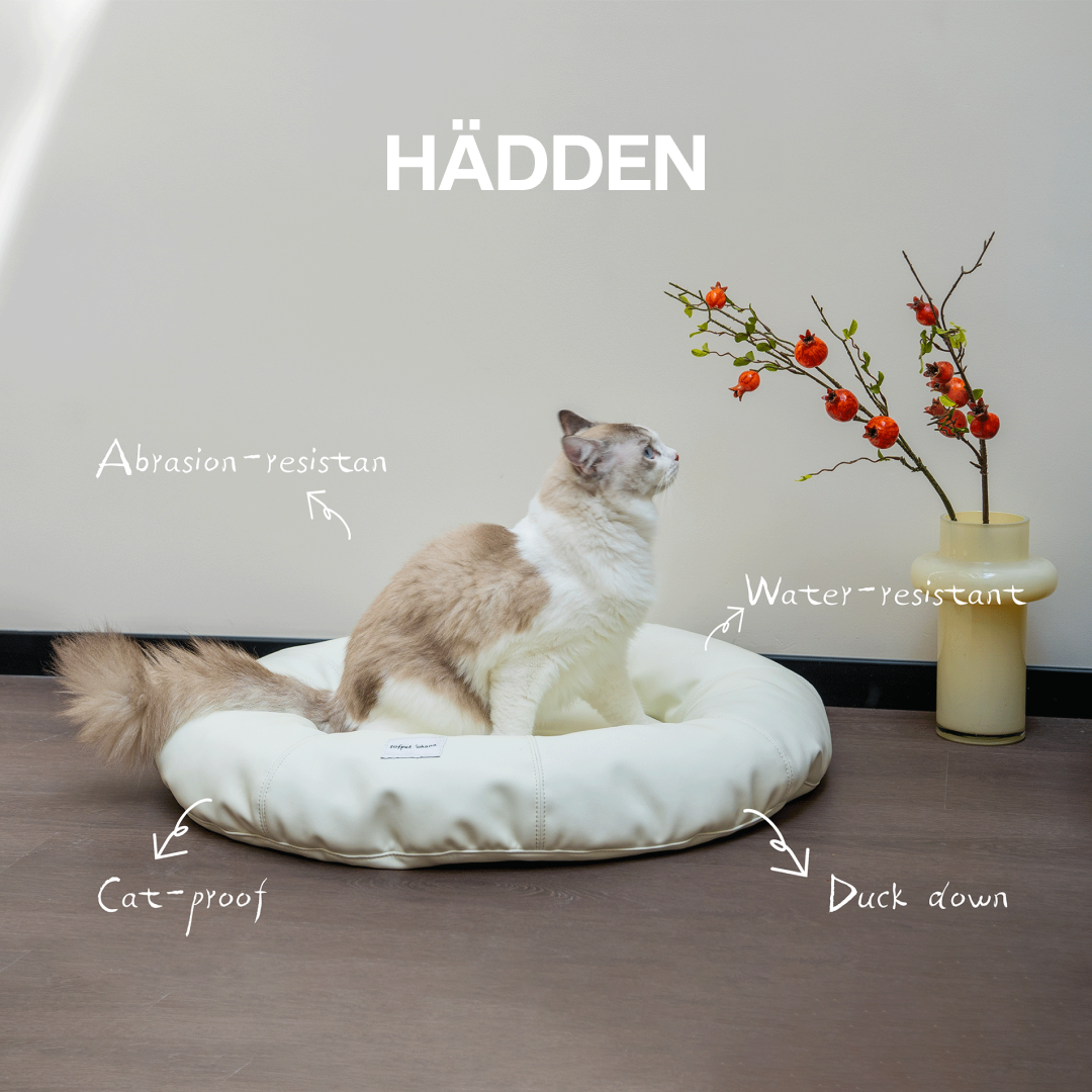 HÄDDEN NYC Cloud White Donut Pet Bed – Luxury Cat & Small Dog Lounge