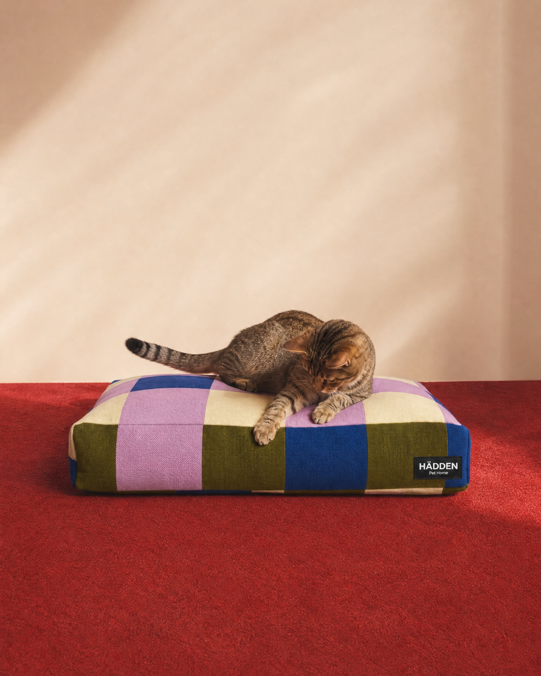 A brown tabby cat lies on a rectangular patchwork pet bed with purple, green, blue, and cream blocks, placed on a red carpet against a beige wall. A small black brand tag reading HADDEN is visible on the front right corner.