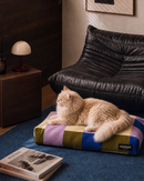 A fluffy orange cat rests on a colorful striped pet bed in a modern living room setting with a black leather armchair, blue carpet, and a side table.