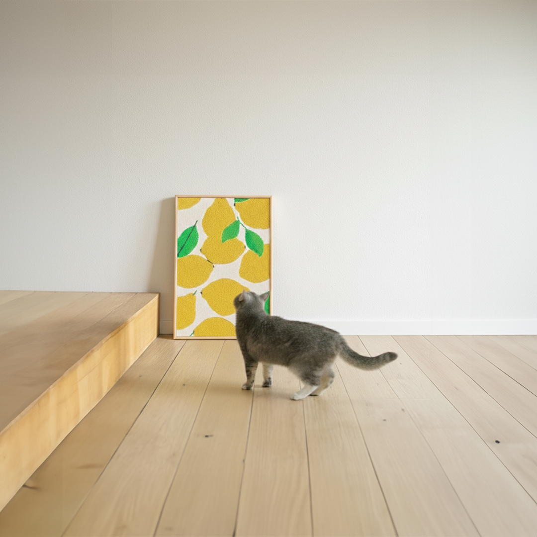 HÄDDEN Cat Scratcher —  VIP Pre-Order