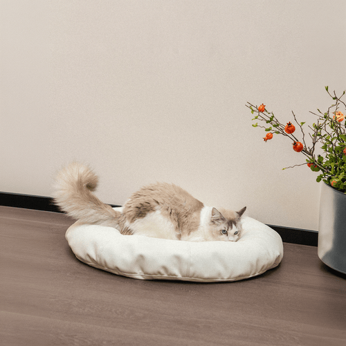 HÄDDEN NYC Cloud White Donut Pet Bed – Luxury Cat & Small Dog Lounge