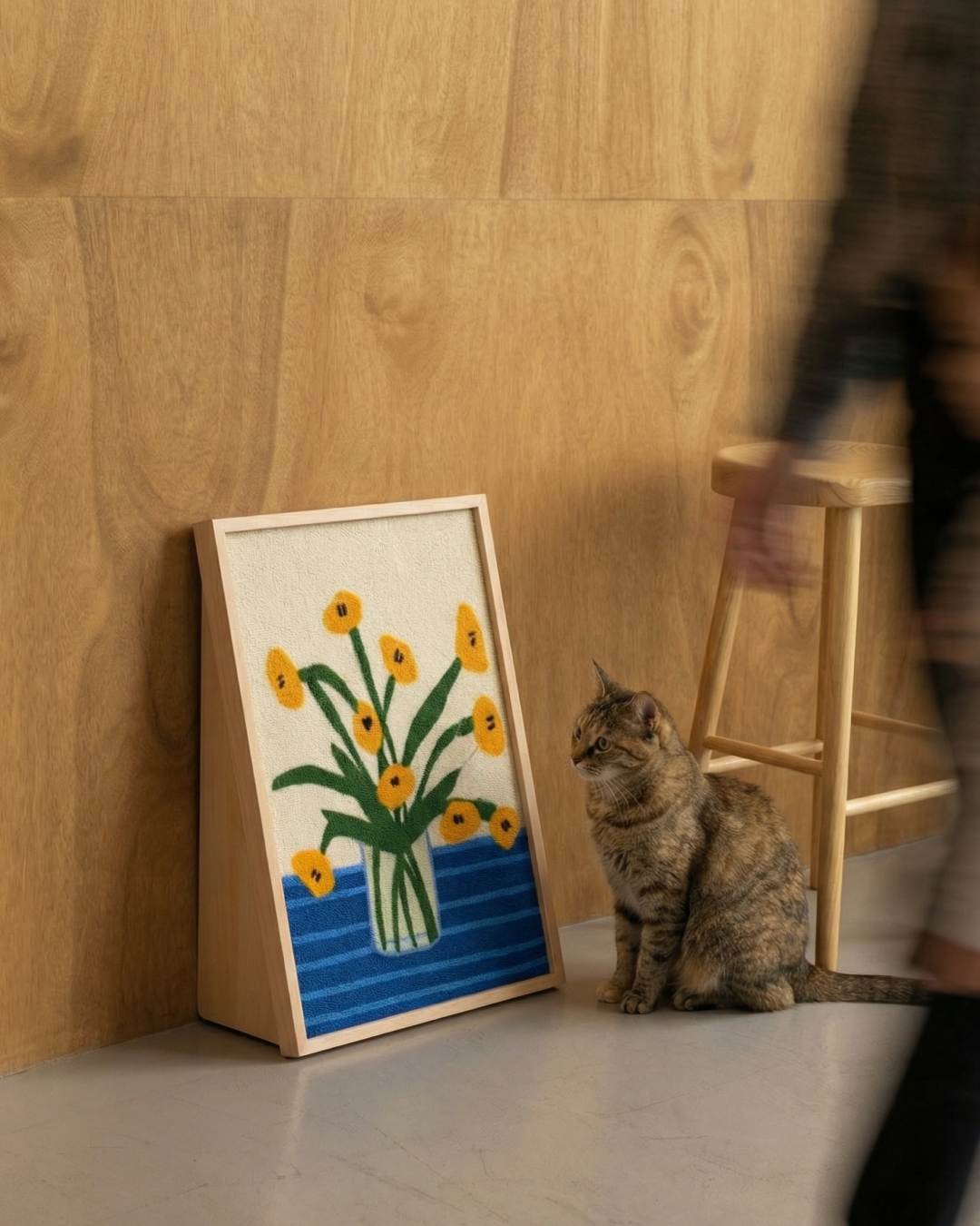 The Cat Scratcher Collection