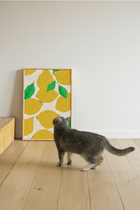 Build Your Own HÄDDEN Scratcher Combo