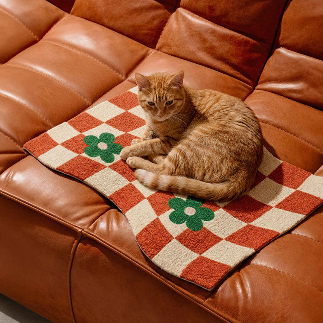 Cat Scratching Rug | Chess